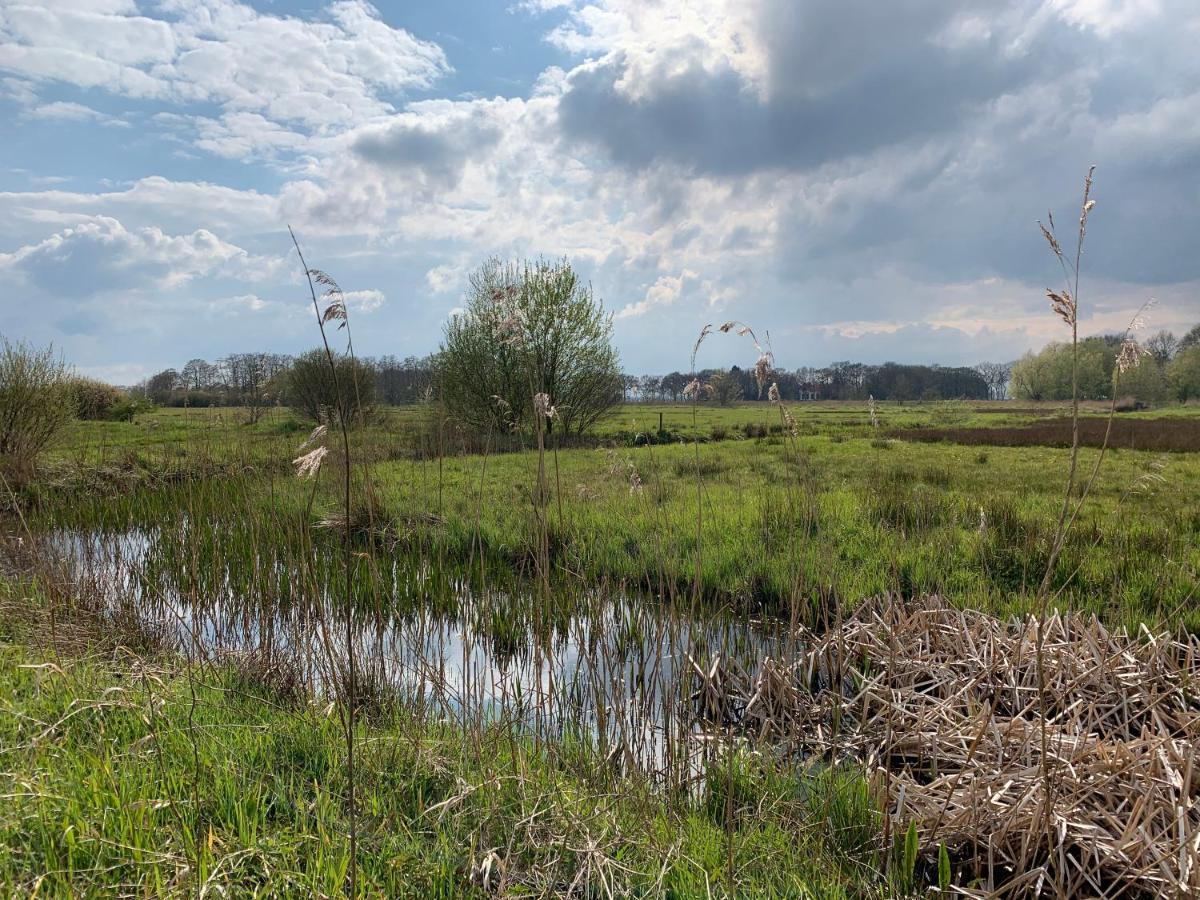 Boeren Maison Wedde Eksteriør bilde